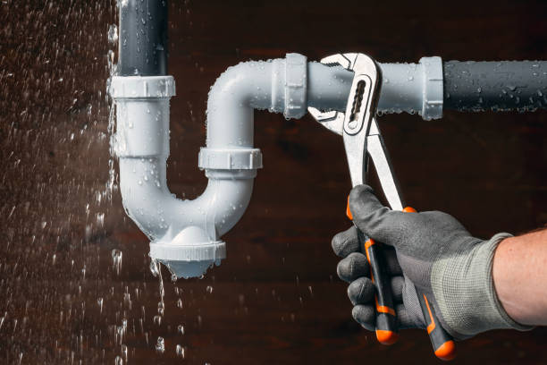 Professional Plumbing technician working in Springport, IN